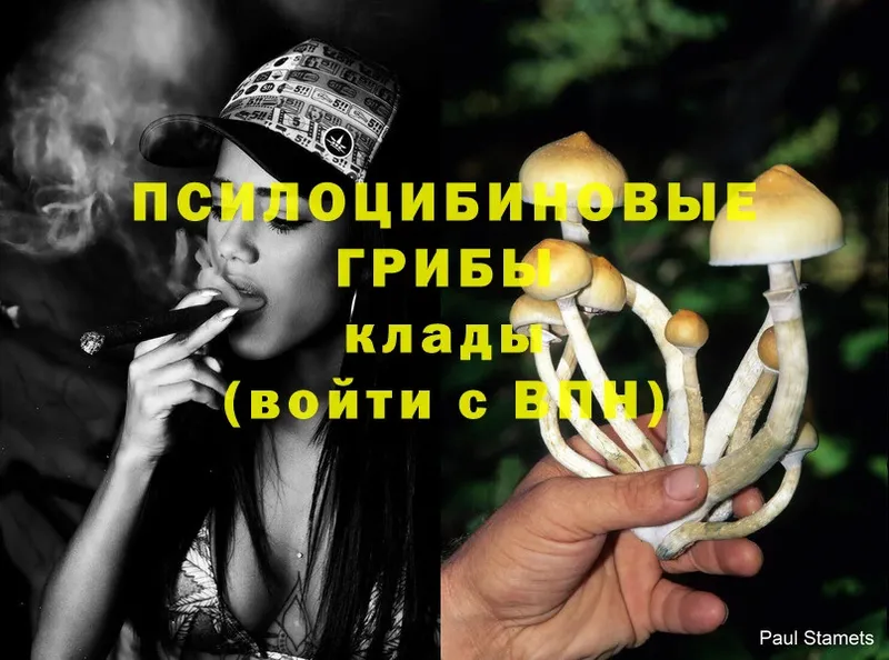 Галлюциногенные грибы MAGIC MUSHROOMS  ссылка на мегу как зайти  Ишим 